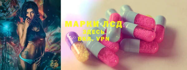 мяу мяу мука Аркадак