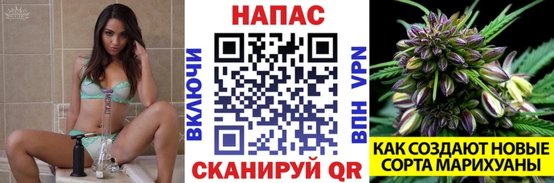 Шишки марихуана планчик  Сергач 
